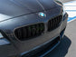 RWCarbon BMW F10 Carbon Fiber Double Slat Grilles