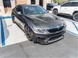 RWCarbon BMW F80 M3 / F82 F83 M4 GTS Style Hood