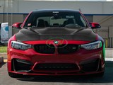 RWCarbon BMW F80 M3 / F82 F83 M4 GTS Style Hood